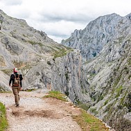 imagoDens/Shutterstock