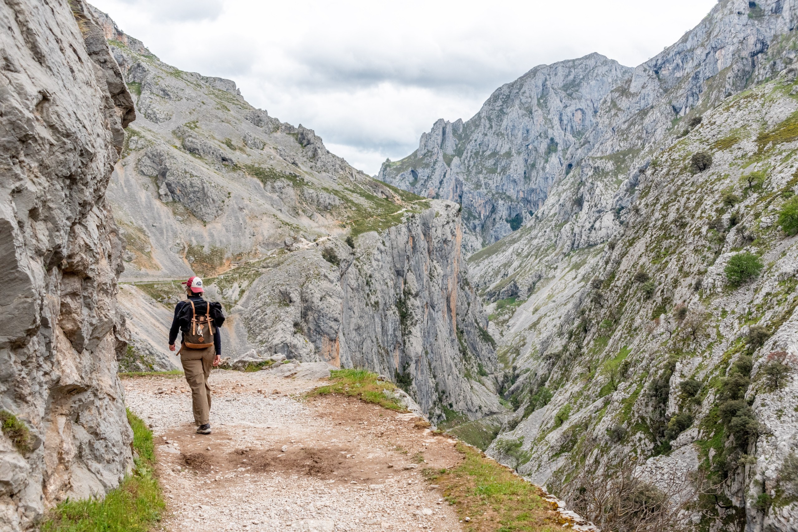 imagoDens/Shutterstock