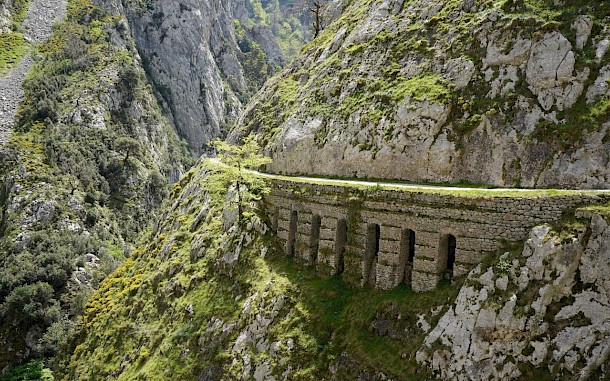 Tobee or not tobee/Shutterstock