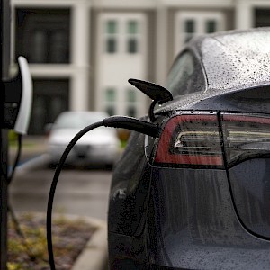 Volodymyr TVERDOKHLIB/Shutterstock