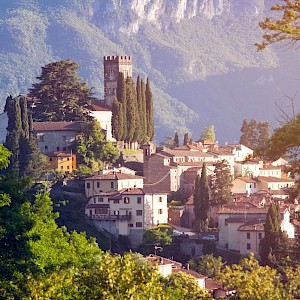 Melinda Nagy/Shutterstock.com