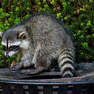 kingma photos/Shutterstock