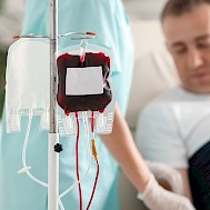 Pixel-Shot/Shutterstock.com