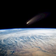 Triff/Shutterstock.com