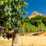 evgeeenius/Shutterstock.com