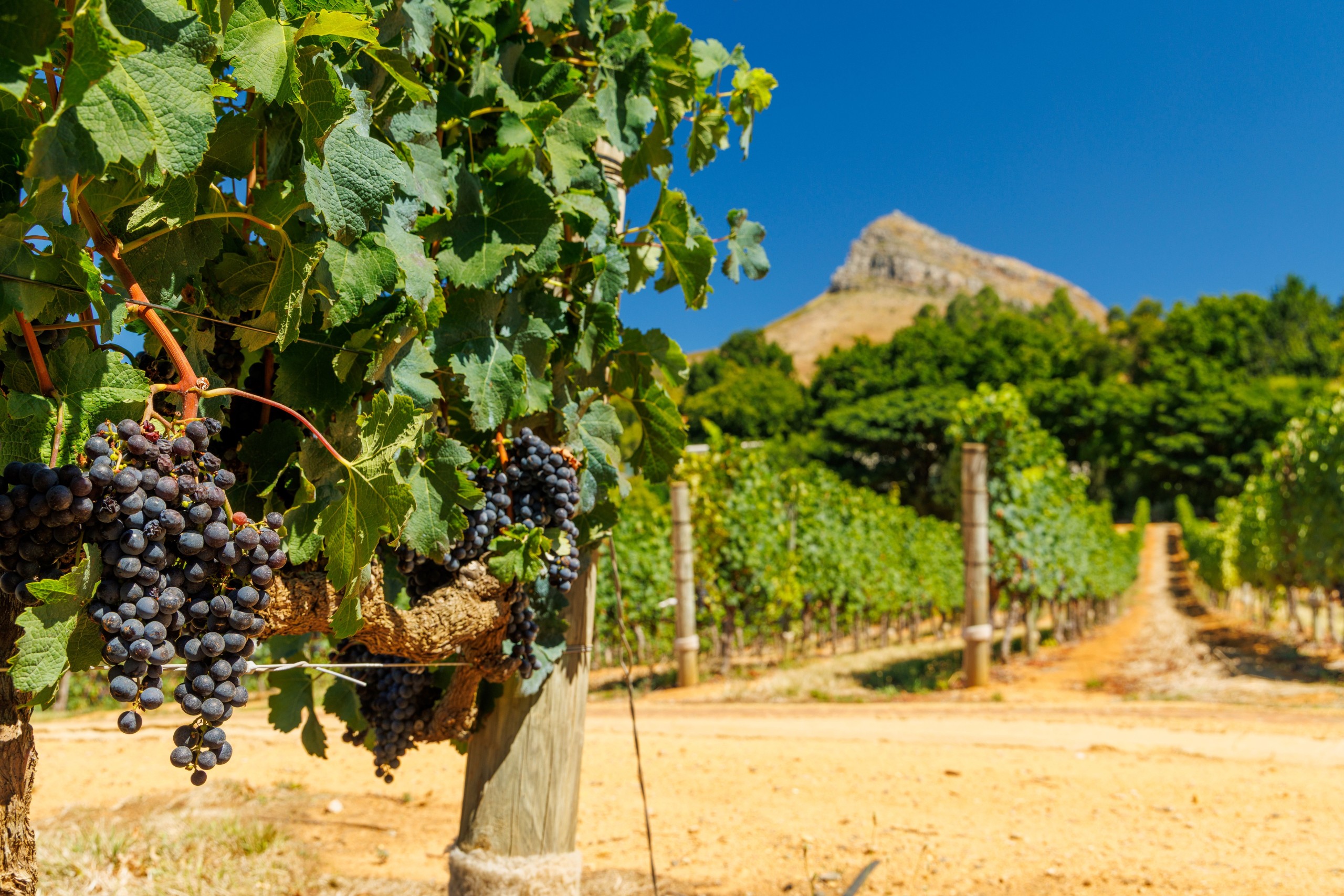 evgeeenius/Shutterstock.com