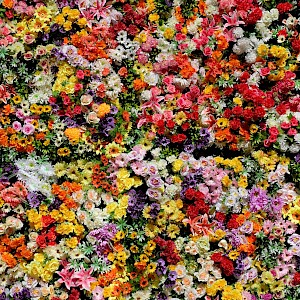 Julien Chatelain / Unsplash