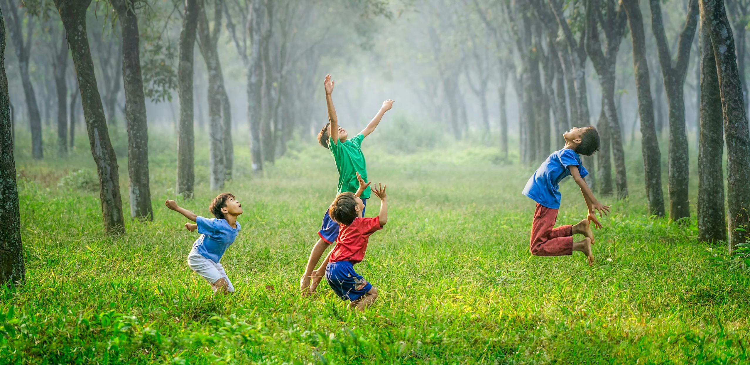 Robert Collins/Unsplash