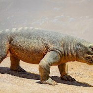 Danny Ye/Shutterstock