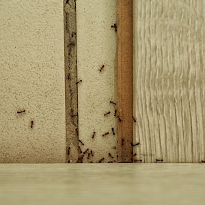 New Africa/Shutterstock