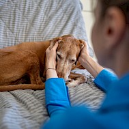 DimaBerlin/Shutterstock