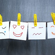 favorita1987/Shutterstock.com