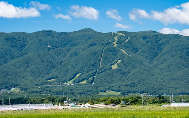 RITSU MIYAMOTO/Shutterstock