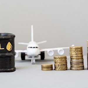 TANYARICO/Shutterstock.com