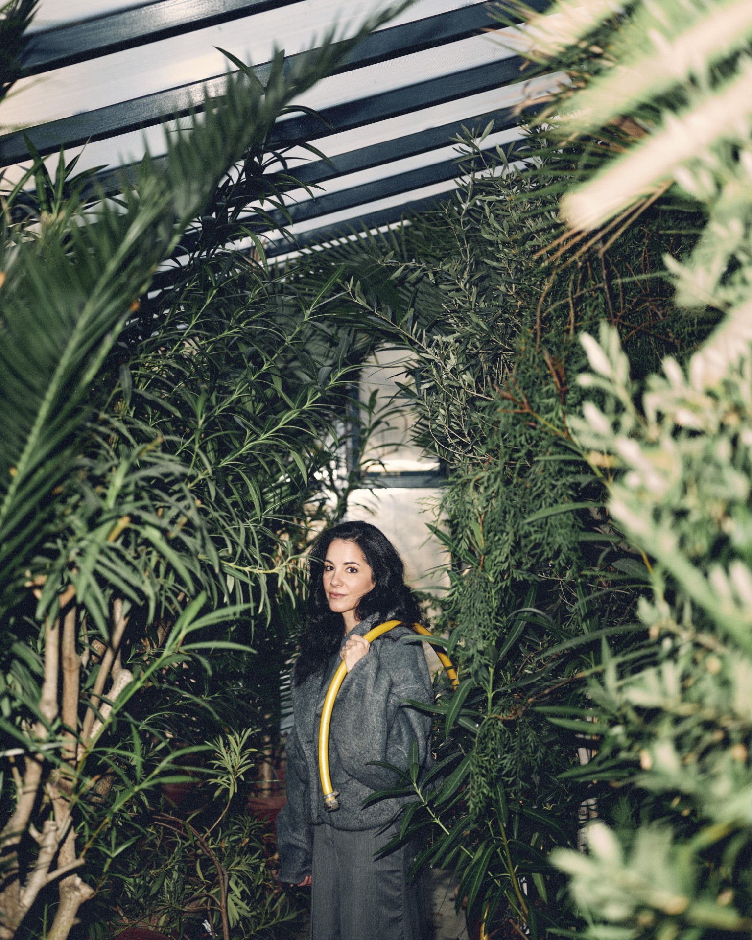 Hamu és Gyémánt / Földi Ádám