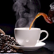 HandCraftPixel/Shutterstock.com