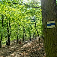 csikiphoto/Shutterstock.com