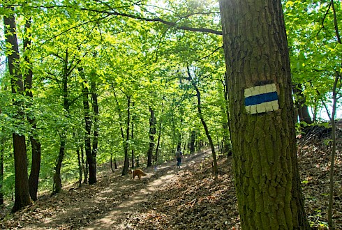 csikiphoto/Shutterstock.com