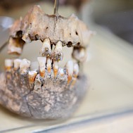 Vladimir Melnik/Shutterstock