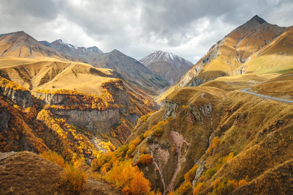 Anna Grudochko/Shutterstock