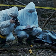 Max Acronym/Shutterstock.com