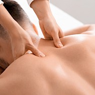 Prostock-studio/Shutterstock