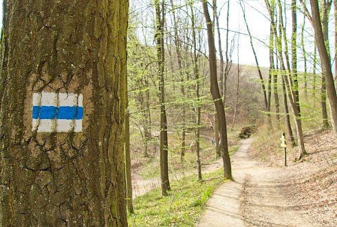 csikiphoto/Shutterstock.com