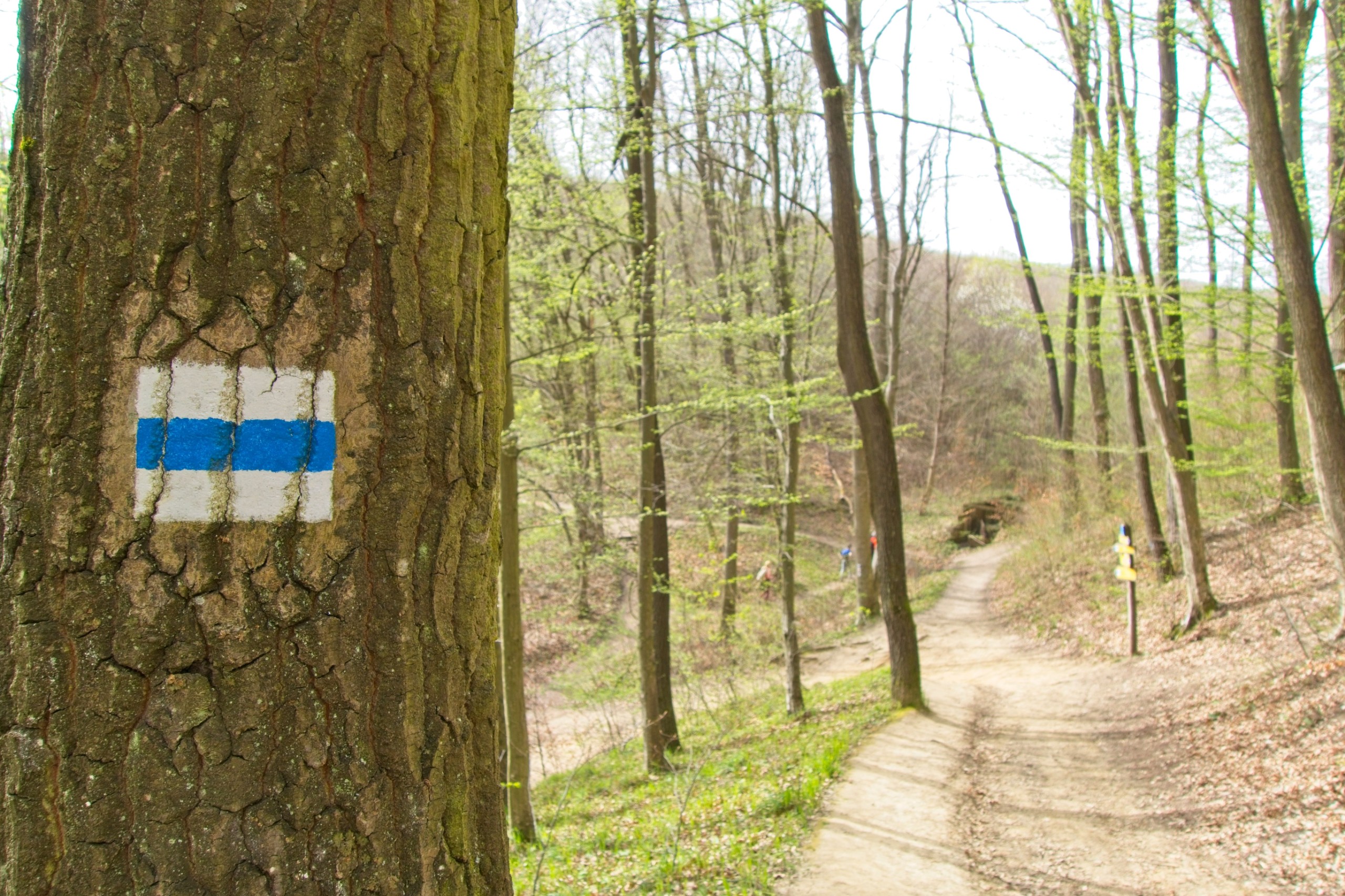 csikiphoto/Shutterstock.com