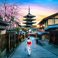 Guitar photographer/Shutterstock.com