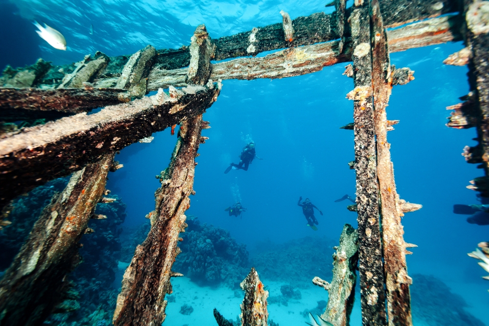 Alex Vog/Shutterstock