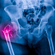 Peter Porrini/Shutterstock.com