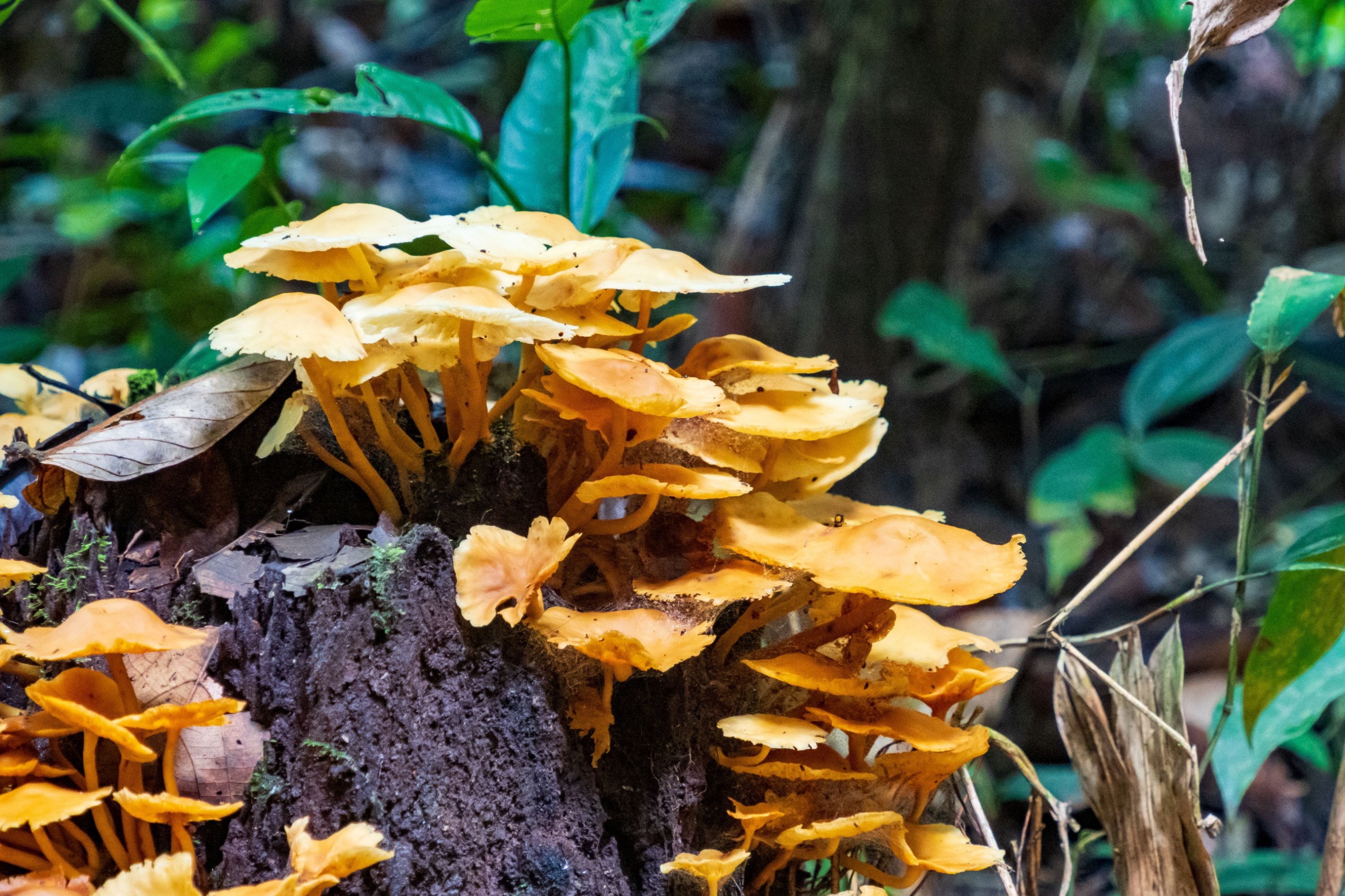 Nowaczyk/Shutterstock.com