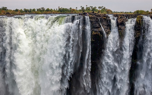 Alena Vishina/Shutterstock