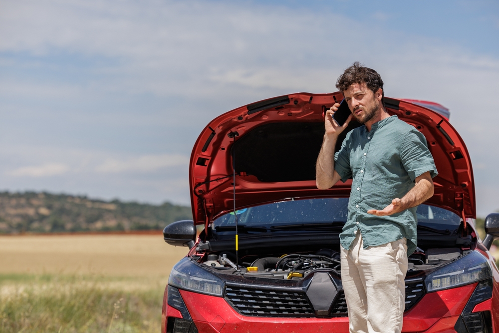 Paula VV/Shutterstock