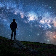 Denis Belitsky / Shutterstock