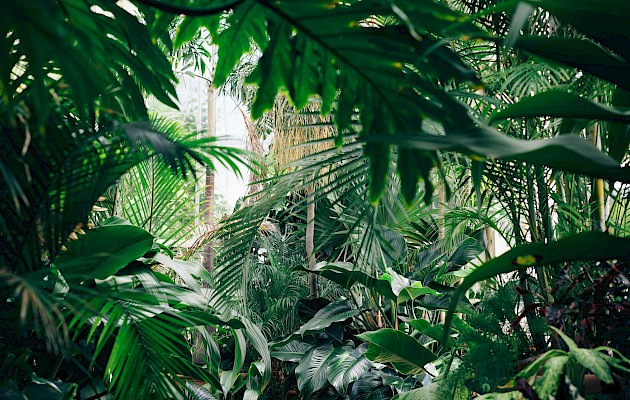 Chris Abney/Unsplash