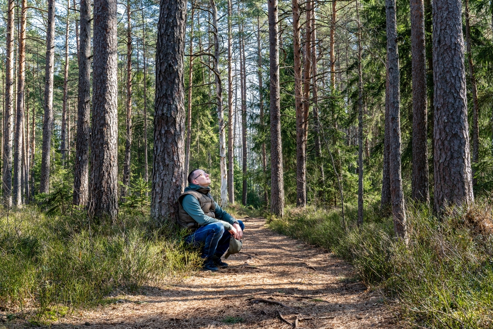 Edijs K/Shutterstock