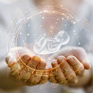 Natali _ Mis/Shutterstock