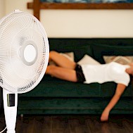 monshtein / Shutterstock