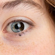 sruilk/Shutterstock