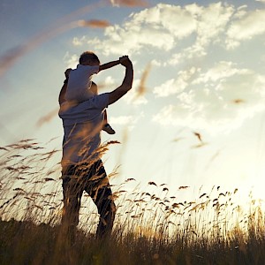 maxim ibragimov / Shutterstock